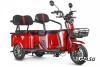 Трицикл ELTRECO Rutrike Экипаж