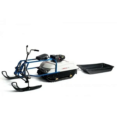 Мотобуксировщик Хортон HT9