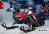 Снегоход Ataki WD 250