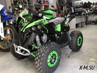 Квадроцикл YACOTA RENEGADE PRO-SPORT