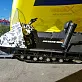 Камуфлирование снегоходов STELS